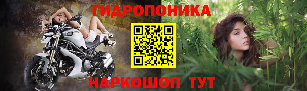 Бошки Шишки AK-47 Саранск